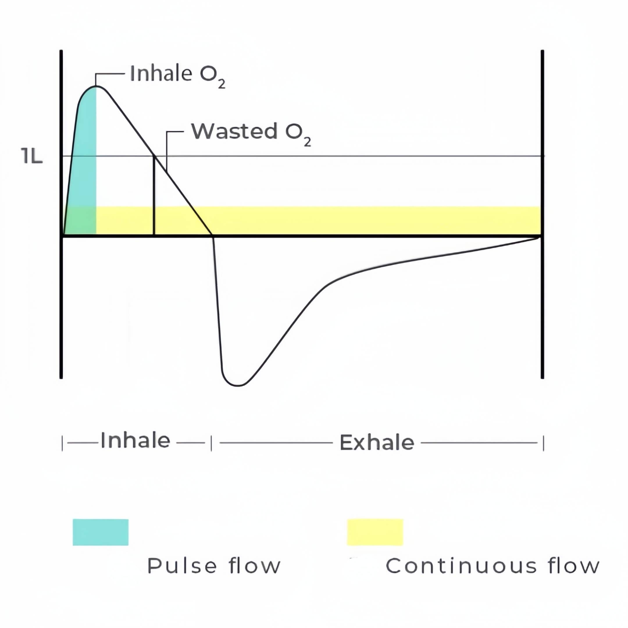 Pulse Dose Delivery vs. Continuous Flow Wellue
